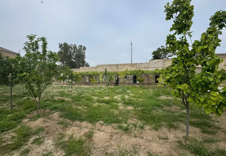 13 sot Torpaq Satılır, Şüvəlan, Xəzər, Bakı