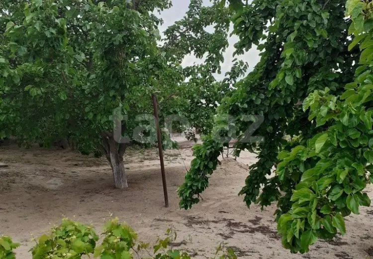 3 otaqlı mənzil , Sumqayıt