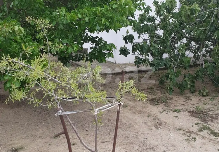3 otaqlı mənzil , Sumqayıt