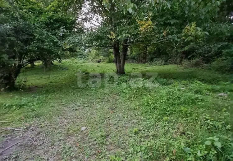 0 m² Obyekt / Ofis , Qəbələ