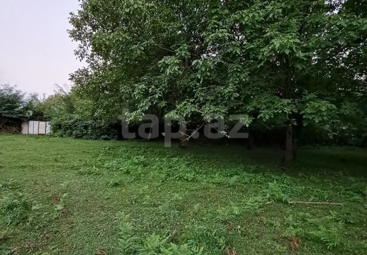 0 m² Obyekt / Ofis , Qəbələ
