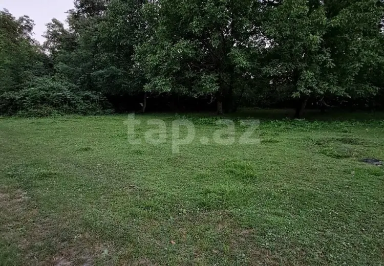 0 m² Obyekt / Ofis , Qəbələ