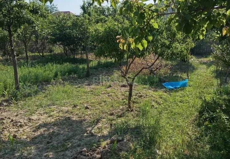 3 sot Torpaq Satılır, Sabunçu, Bakı