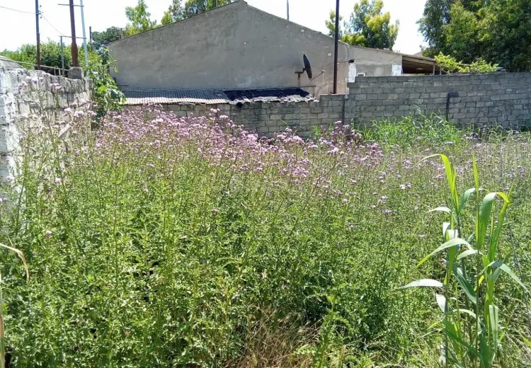 2 sot Torpaq Satılır, Məştağa qəs., Sabunçu, Bakı