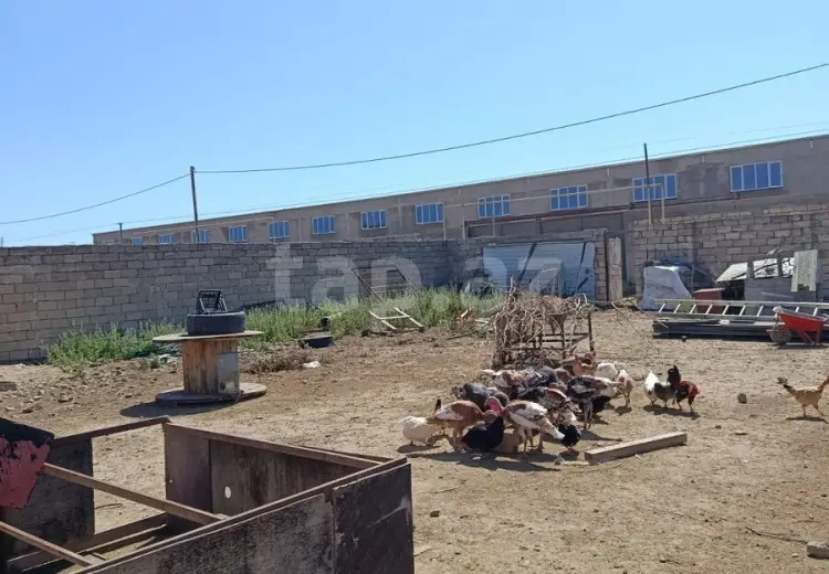 0 m² Obyekt / Ofis , Suraxanı qəs., Suraxanı, Bakı