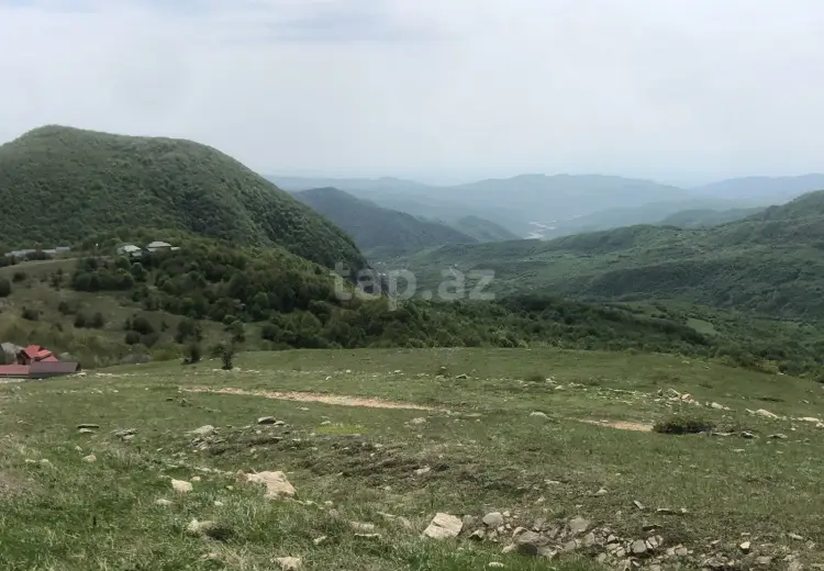 0 m² Obyekt / Ofis , Şamaxı
