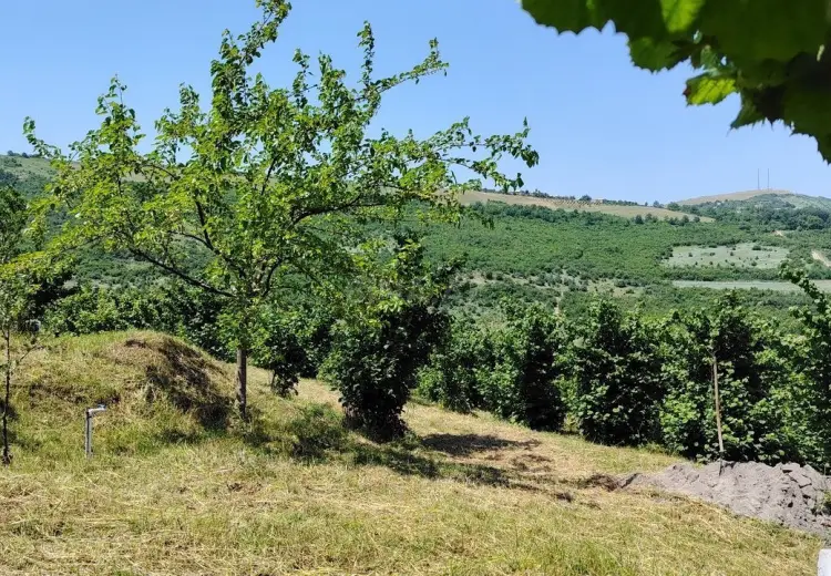 12 sot Torpaq Satılır, Quba