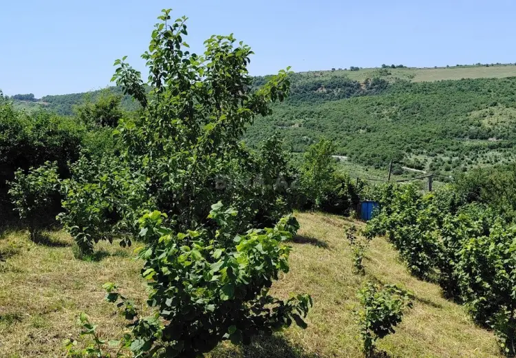 12 sot Torpaq Satılır, Quba