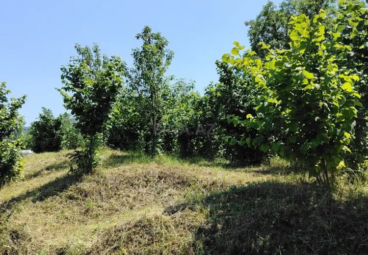 12 sot Torpaq Satılır, Quba