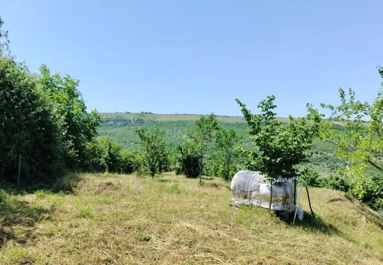 12 sot Torpaq Satılır, Quba