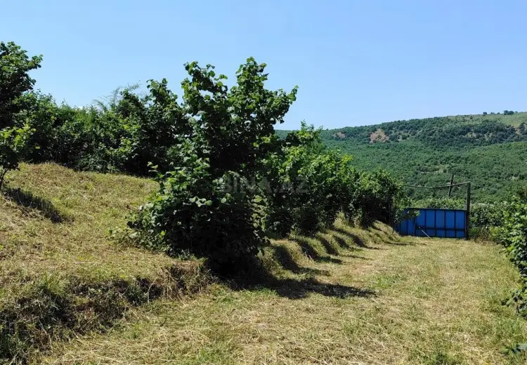 12 sot Torpaq Satılır, Quba