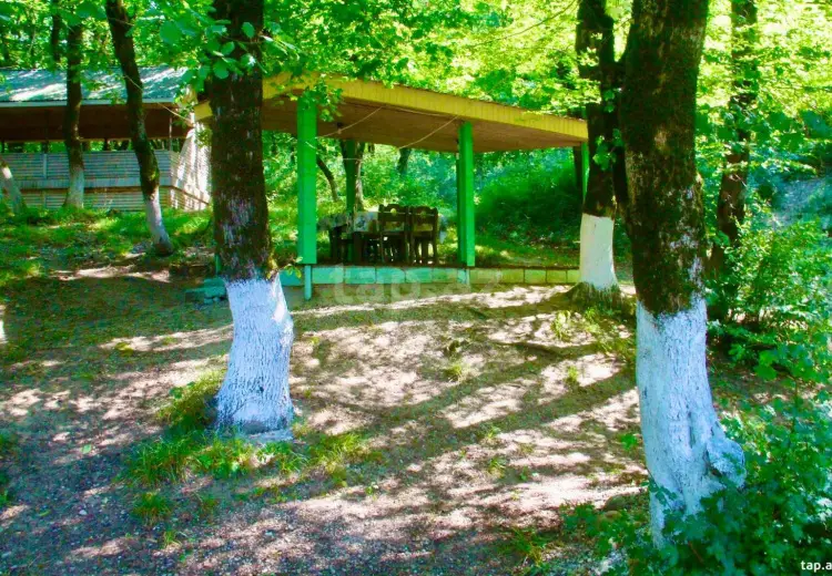 0 m² Obyekt / Ofis , Şabran