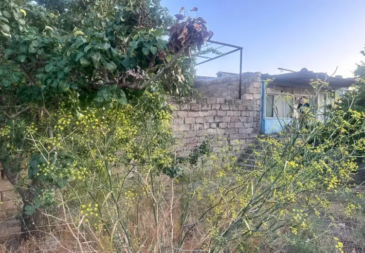 0 m² Obyekt / Ofis , Bilgəh qəs., Sabunçu, Bakı