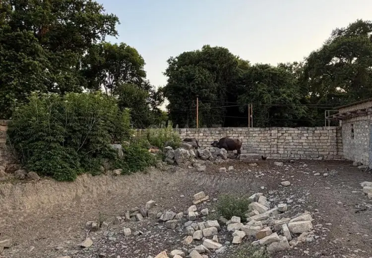 6 sot Torpaq Satılır, Nabran