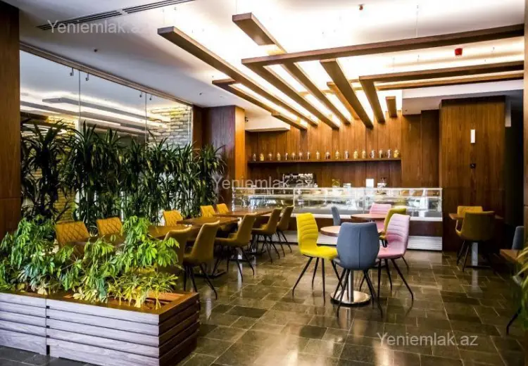 220 m² Obyekt / Ofis Kirayə (aylıq), Nəsimi, Bakı