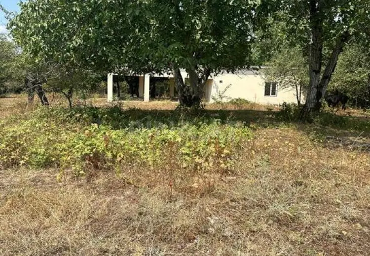 500 sot Torpaq Satılır, Qəbələ