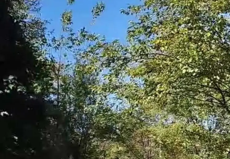 13 sot Torpaq Satılır, Qəbələ