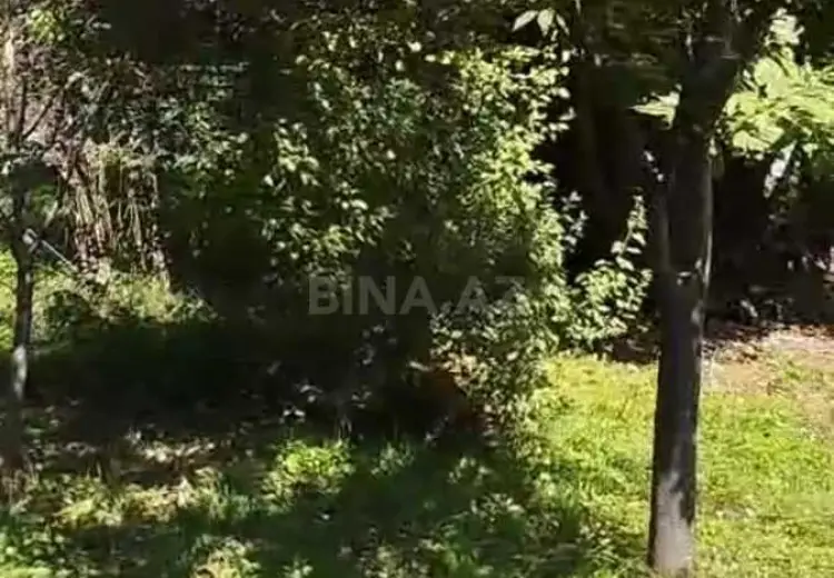 13 sot Torpaq Satılır, Qəbələ