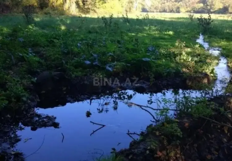 119 sot Torpaq Satılır, Xaçmaz