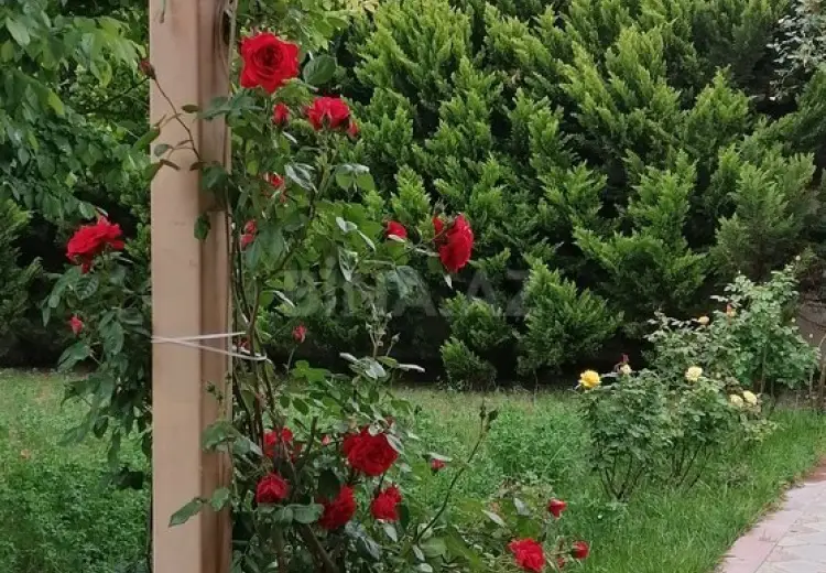 5 otaqlı mənzil Satılır, Sumqayıt