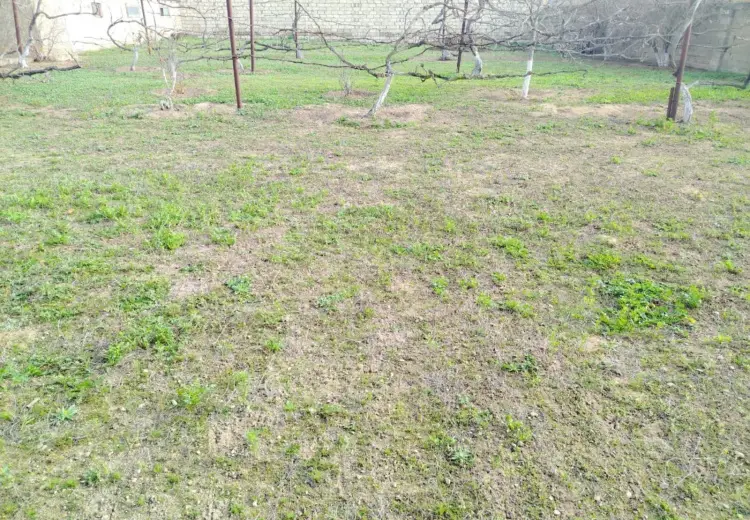 8 sot Torpaq Satılır, Buzovna, Xəzər, Bakı
