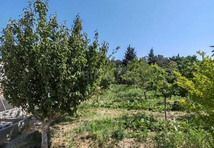 30 sot Torpaq Satılır, Buzovna, Xəzər, Bakı