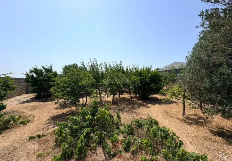 6.5 sot Torpaq Satılır, Sabunçu, Bakı