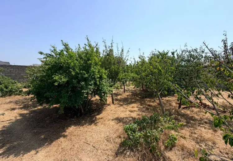 6.5 sot Torpaq Satılır, Sabunçu, Bakı