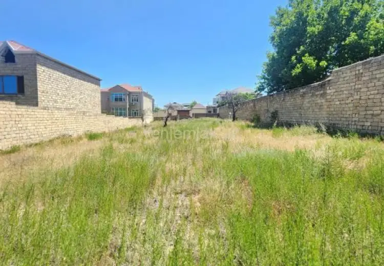 5.5 sot Torpaq Satılır, Saray, Abşeron