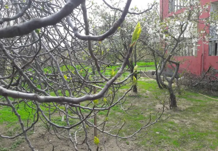 3 otaqlı mənzil , Bakı