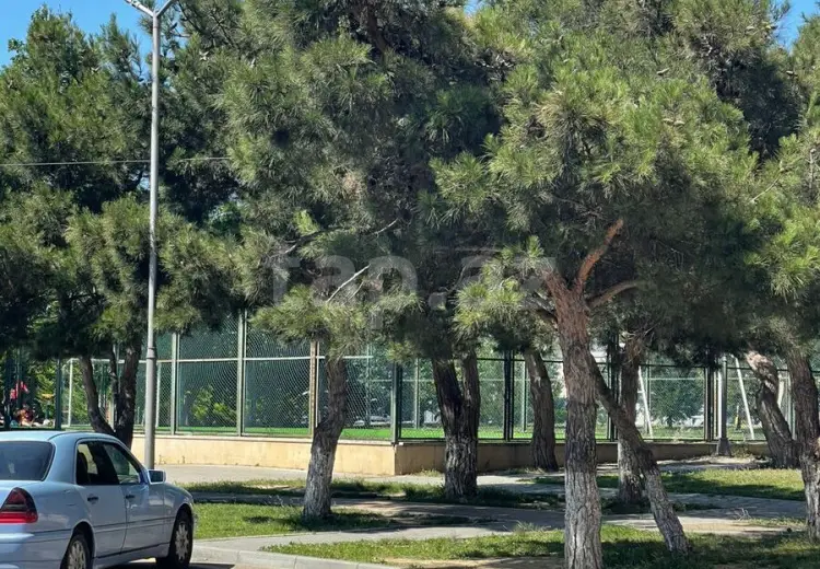3 otaqlı mənzil , Bakı