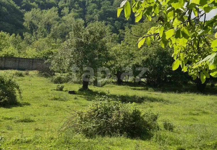 0 m² Obyekt / Ofis , Qəbələ