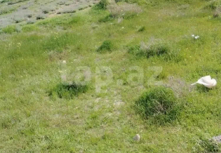 0 m² Obyekt / Ofis , Binəqədi, Bakı