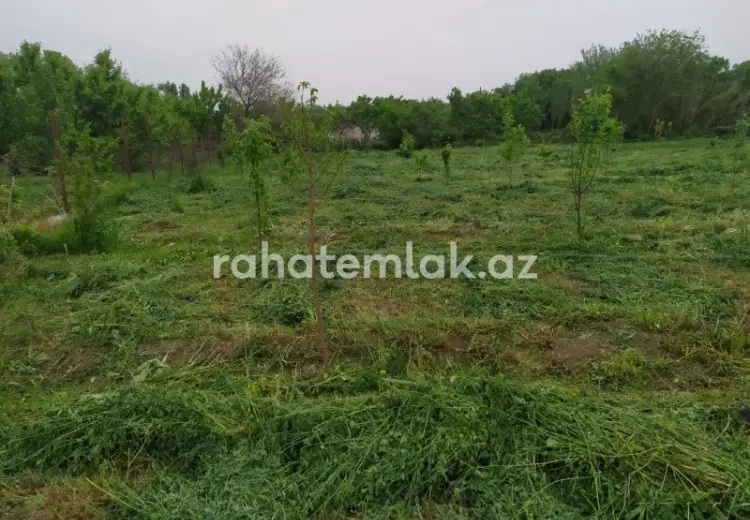 0 sot Torpaq Satılır, Tərtər