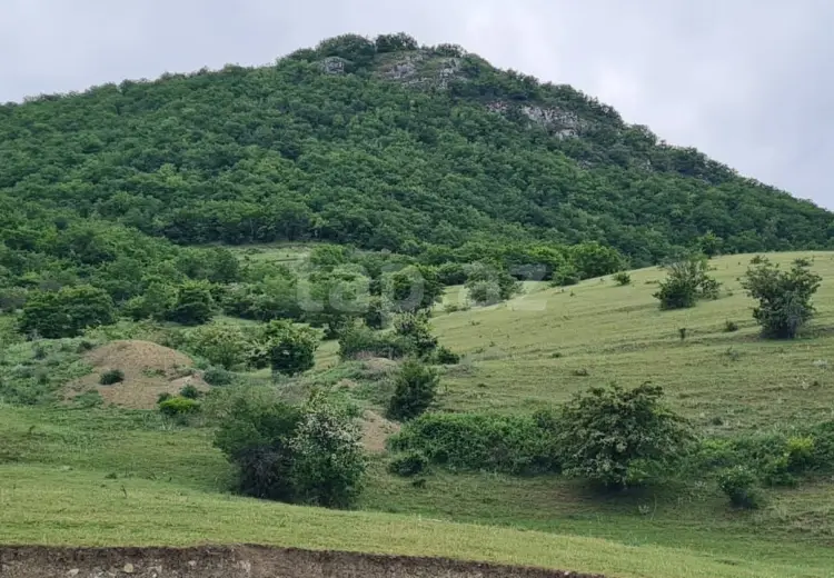 0 m² Obyekt / Ofis , Siyəzən