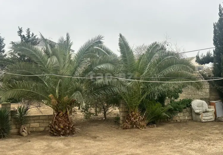 3 otaqlı mənzil , Sumqayıt
