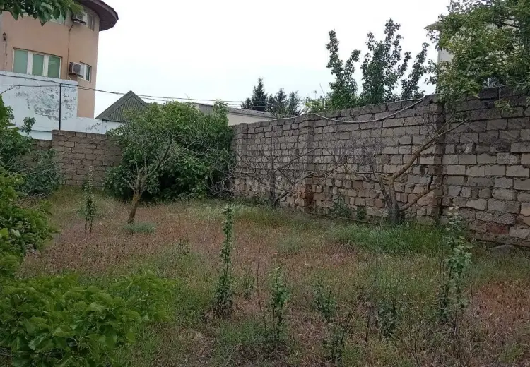 4 sot Torpaq Satılır, Novxanı, Abşeron