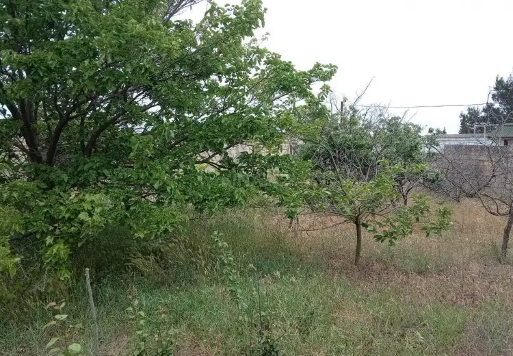 4 sot Torpaq Satılır, Novxanı, Abşeron