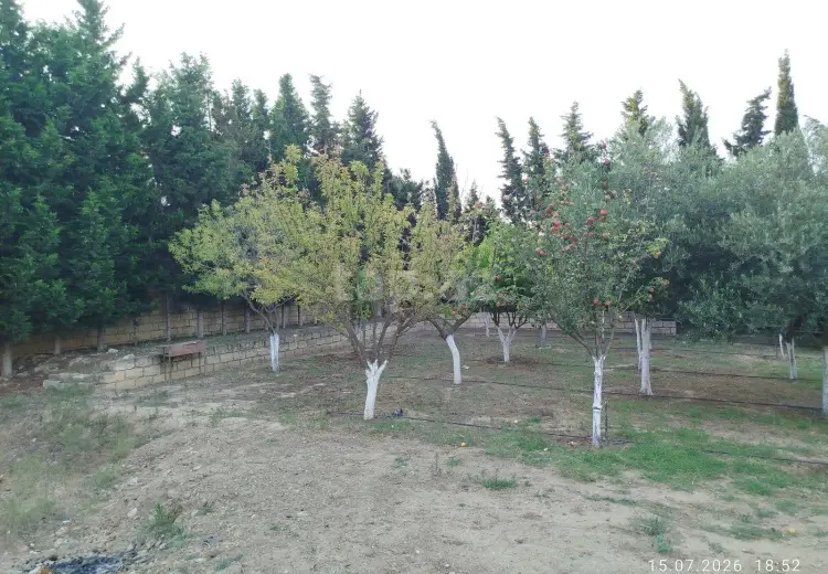 0 m² Obyekt / Ofis , Novxanı, Abşeron