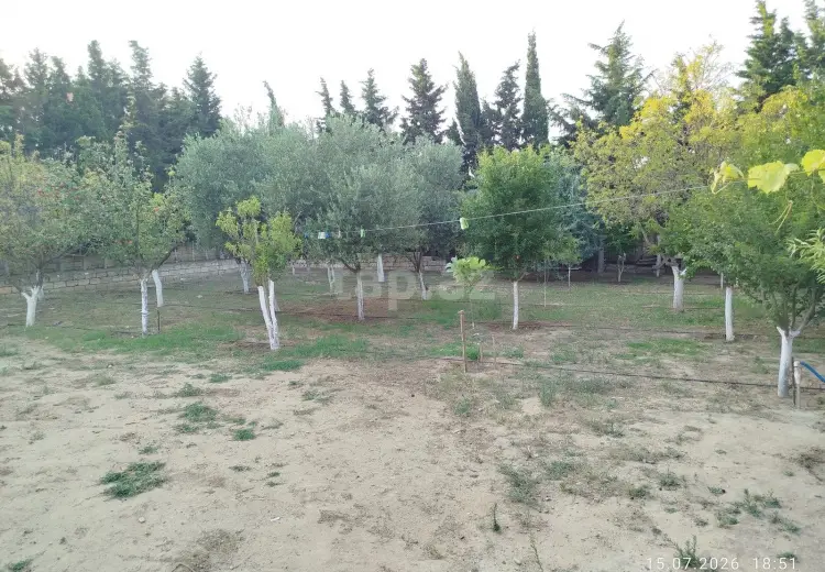 0 m² Obyekt / Ofis , Novxanı, Abşeron