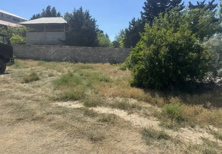 3.5 sot Torpaq Satılır, Goradil, Abşeron