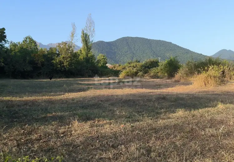 0 m² Obyekt / Ofis , Qəbələ