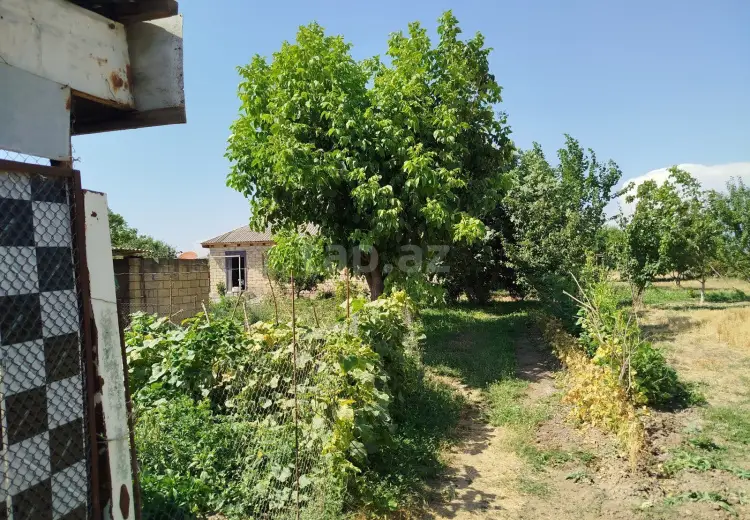 3 otaqlı mənzil , İsmayıllı