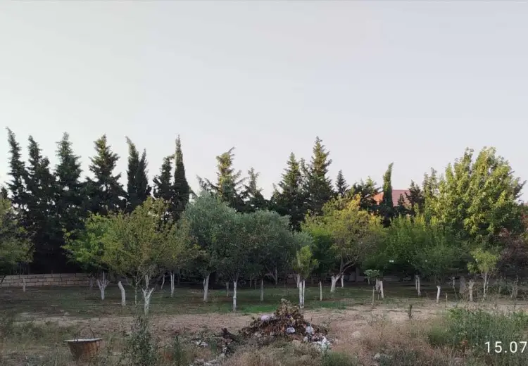 8 sot Torpaq Satılır, Novxanı, Abşeron