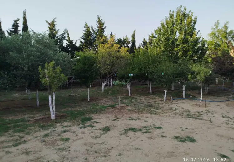 8 sot Torpaq Satılır, Novxanı, Abşeron
