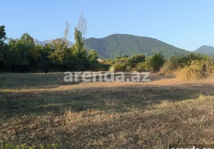 21 sot Torpaq Satılır, Qəbələ
