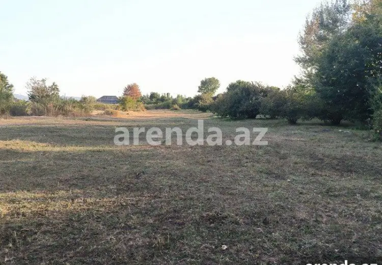 21 sot Torpaq Satılır, Qəbələ