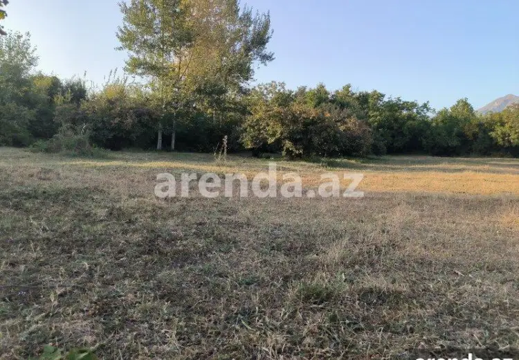21 sot Torpaq Satılır, Qəbələ