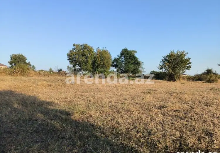 21 sot Torpaq Satılır, Qəbələ
