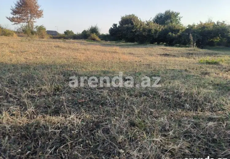 21 sot Torpaq Satılır, Qəbələ